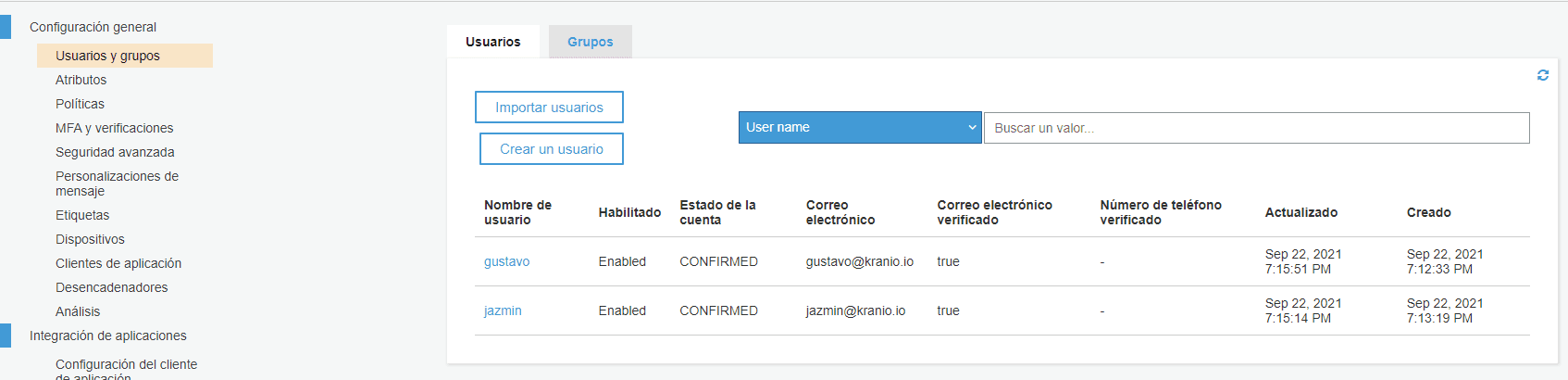 cognito console to define users manually